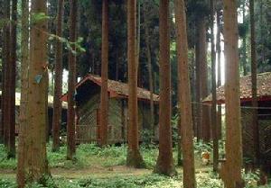 雲湖國家森林公園