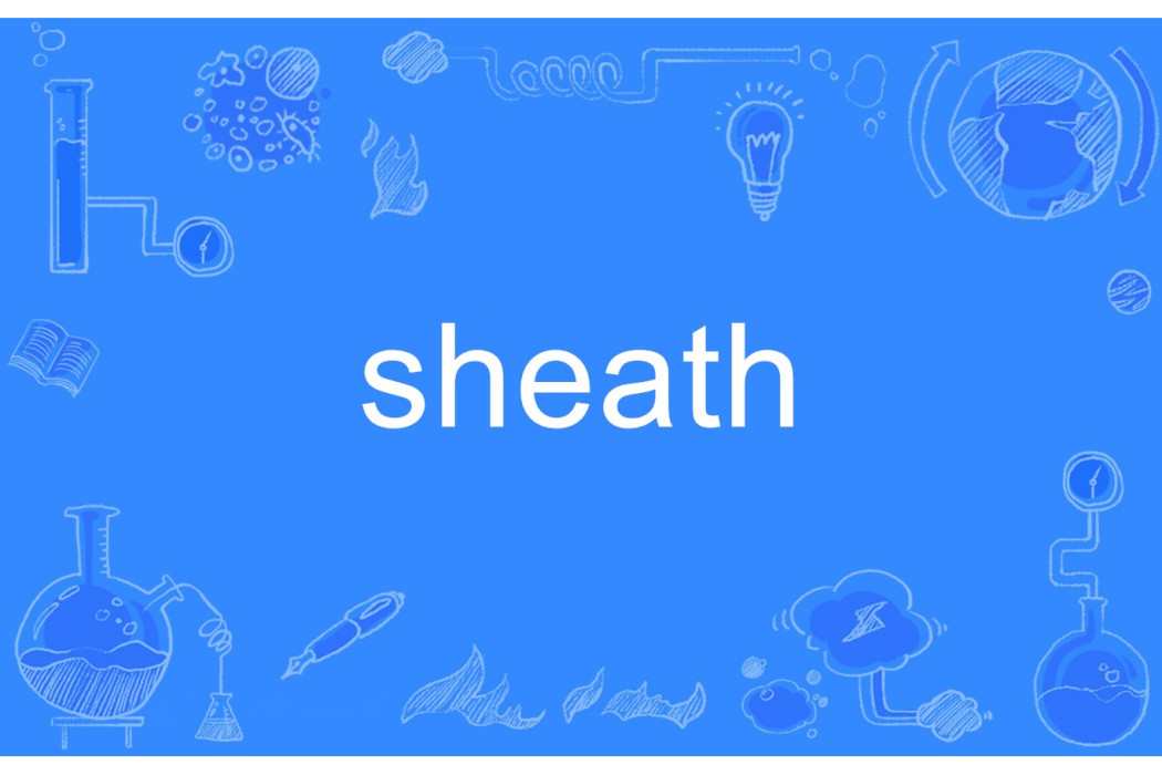 sheath sheath
