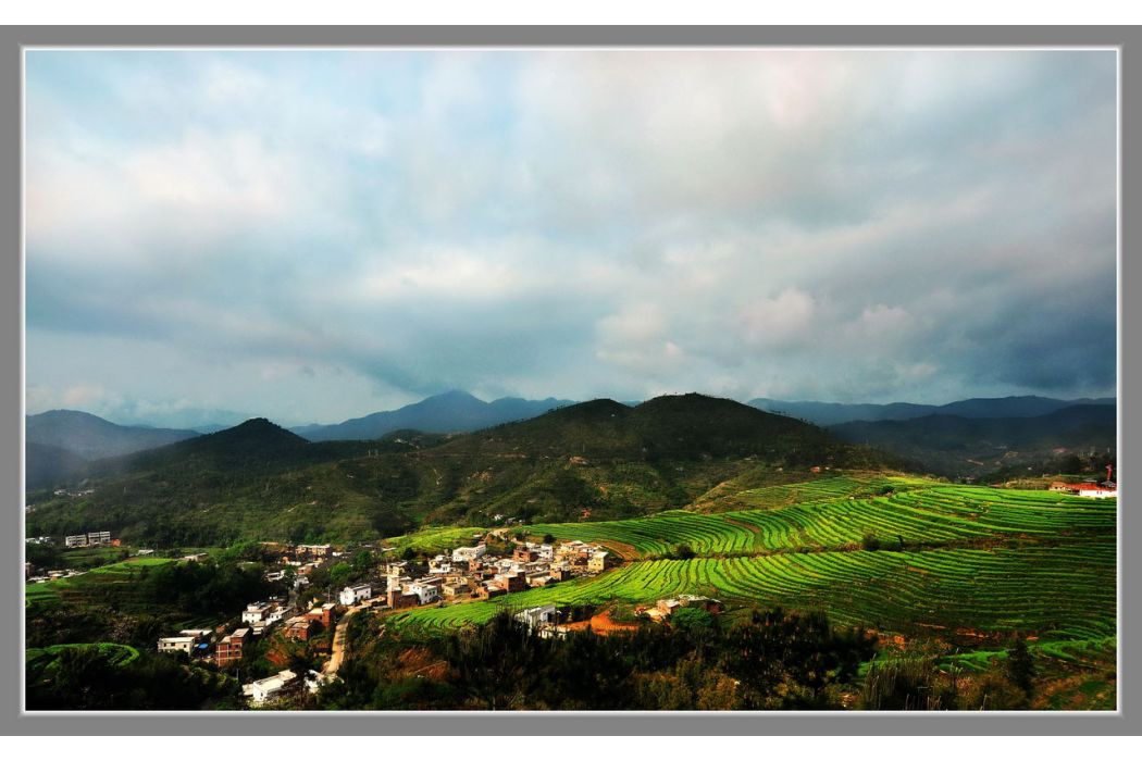 大埔尾村 大埔尾村