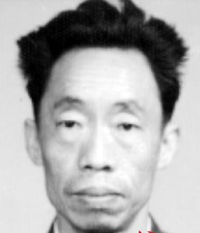 吳野(著名文學評論家) 吳野(著名文學評論家)