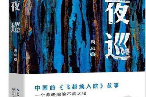 夜巡(2021年長江文藝出版社出版的圖書) 夜巡(2021年長江文藝出版社出版的圖書)
