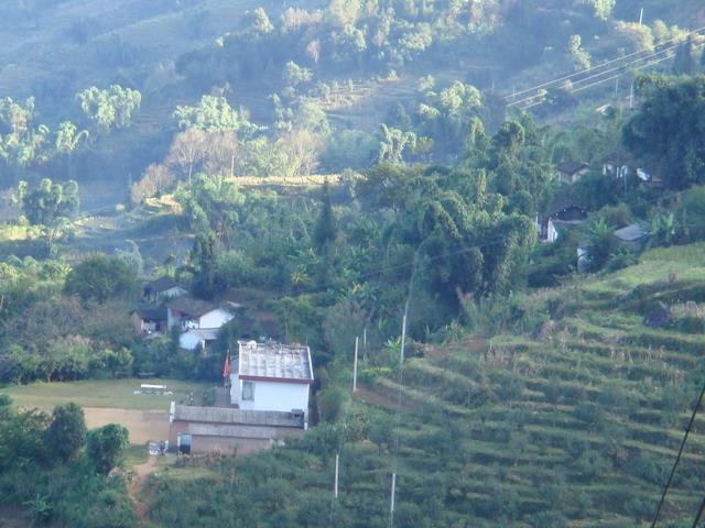 東照臨村 東照臨村