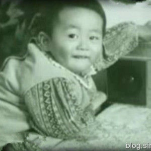 杜淳