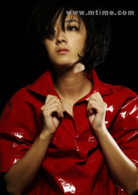 停車(2008年上映張震、桂綸鎂主演台灣電影)