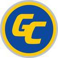 GC(垃圾回收) GC(垃圾回收)