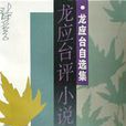 龍應台評小說 龍應台評小說