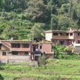 清河村(雲南省曲靖市陸良縣三岔河清河村)