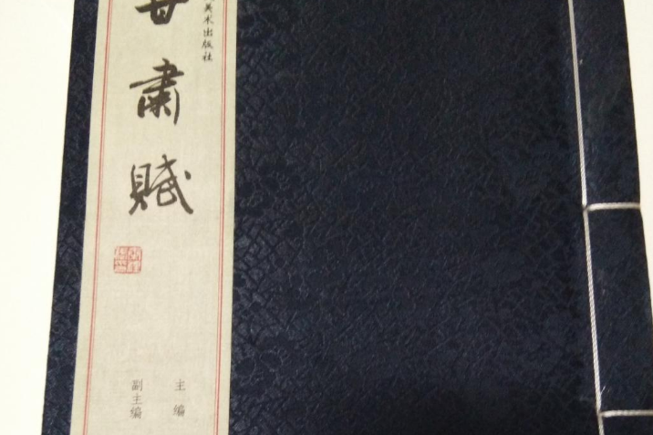甘肅賦(張建偉編著的文集類圖書) 甘肅賦(張建偉編著的文集類圖書)
