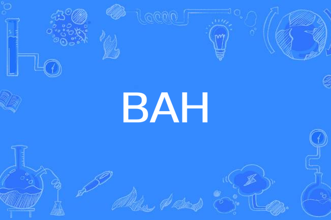 BAH(巴哈馬的國家代碼) BAH(巴哈馬的國家代碼)
