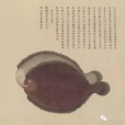 海錯圖(清代文物) 海錯圖(清代文物)