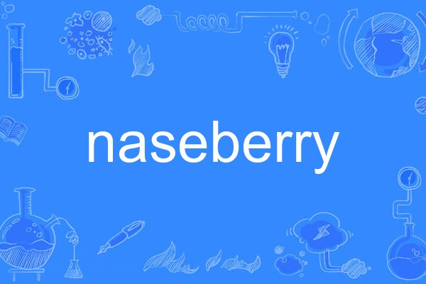 naseberry naseberry