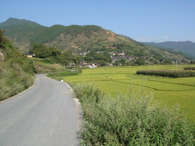 德樂村(玉龍納西族自治縣巨甸鎮德良村委會德樂村) 德樂村(玉龍納西族自治縣巨甸鎮德良村委會德樂村)