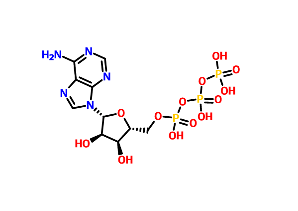 5\x27-三磷酸腺苷