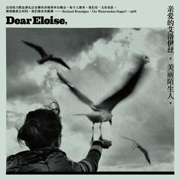 她的歌(樂隊Dear Eloise演繹歌曲) 她的歌(樂隊Dear Eloise演繹歌曲)
