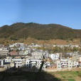 西照川鎮(照川鎮) 西照川鎮(照川鎮)
