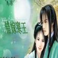 錯嫁寒王 錯嫁寒王