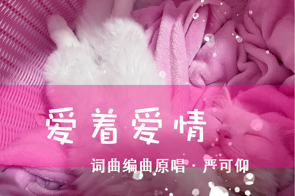 愛著愛情 愛著愛情