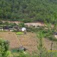 後山自然村(雲南迪慶維西縣塔城鎮其宗行政村後山自然村) 後山自然村(雲南迪慶維西縣塔城鎮其宗行政村後山自然村)
