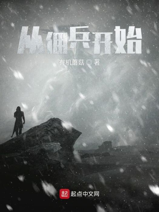 從傭兵開始 從傭兵開始