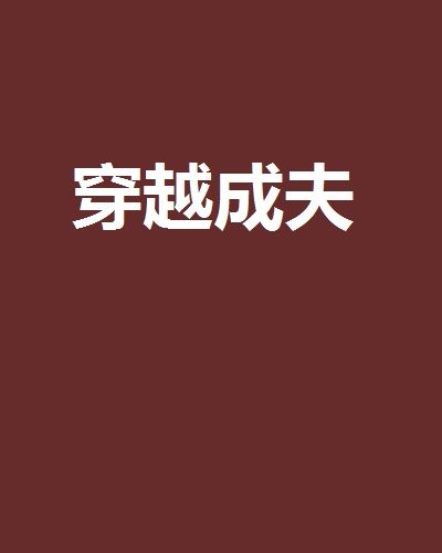 穿越成夫