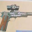 奧地利9毫米格洛克23式手槍