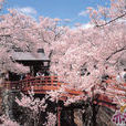 箱根山 箱根山