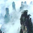晚古生代