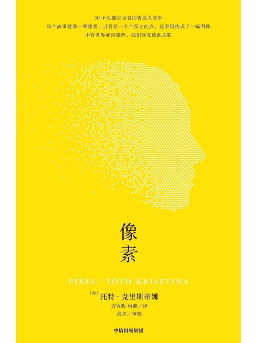 像素(2024年中信出版社出版的圖書) 像素(2024年中信出版社出版的圖書)