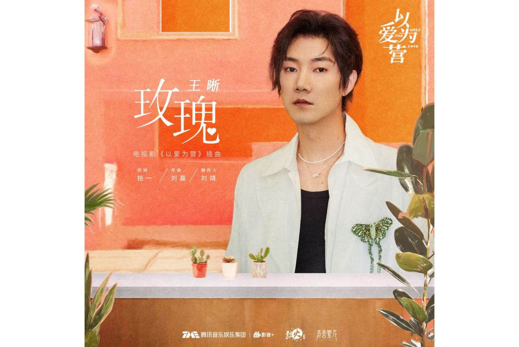 玫瑰(王晰演唱的歌曲) 玫瑰(王晰演唱的歌曲)