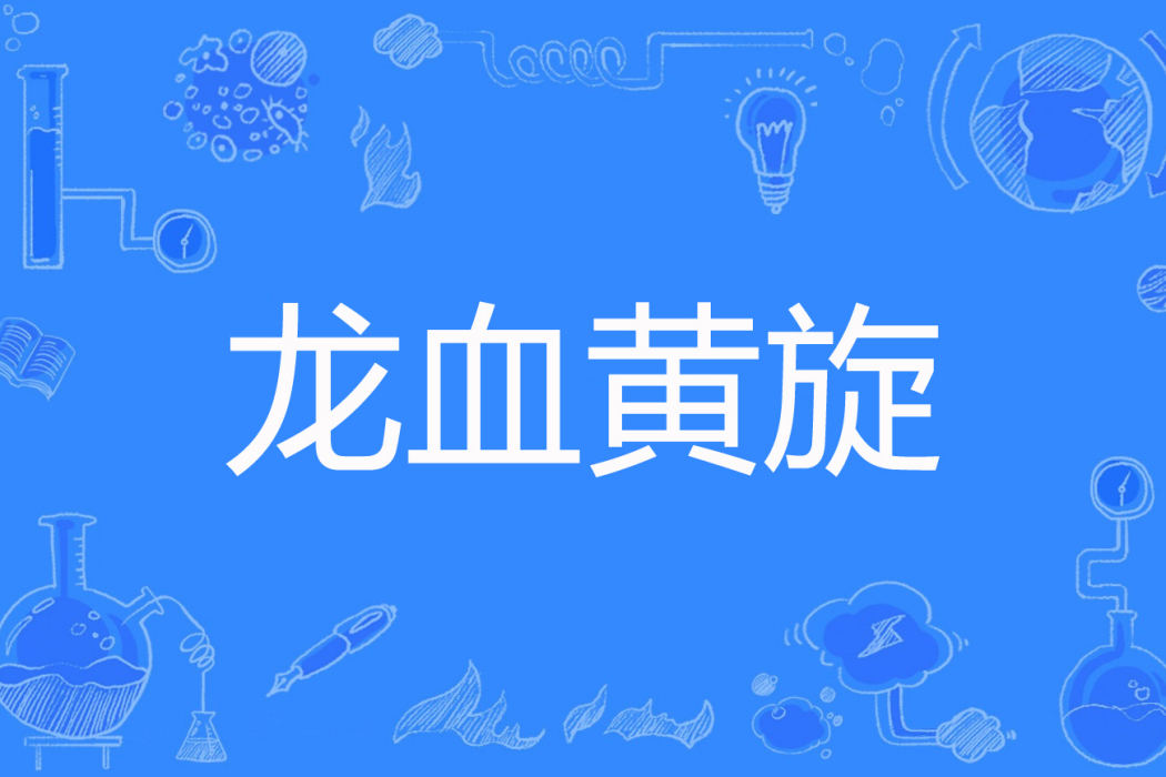 龍血黃旋 龍血黃旋