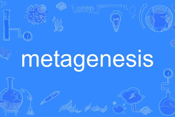 metagenesis metagenesis