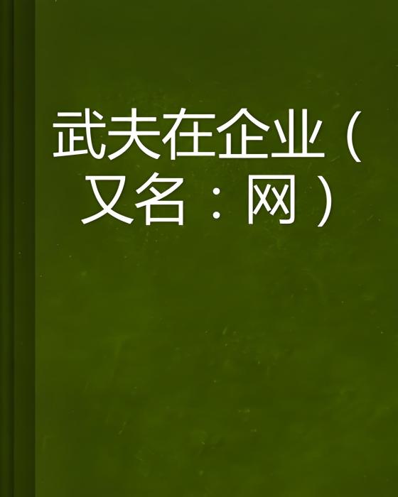 武夫在企業 武夫在企業