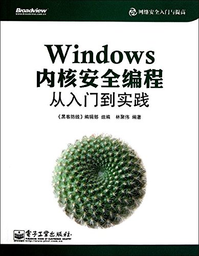 Windows核心安全編程從入門到實踐