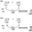 異源多倍體 異源多倍體