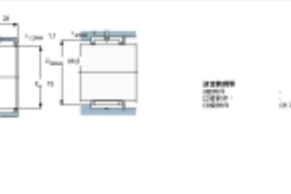 SKF NKS75軸承 SKF NKS75軸承