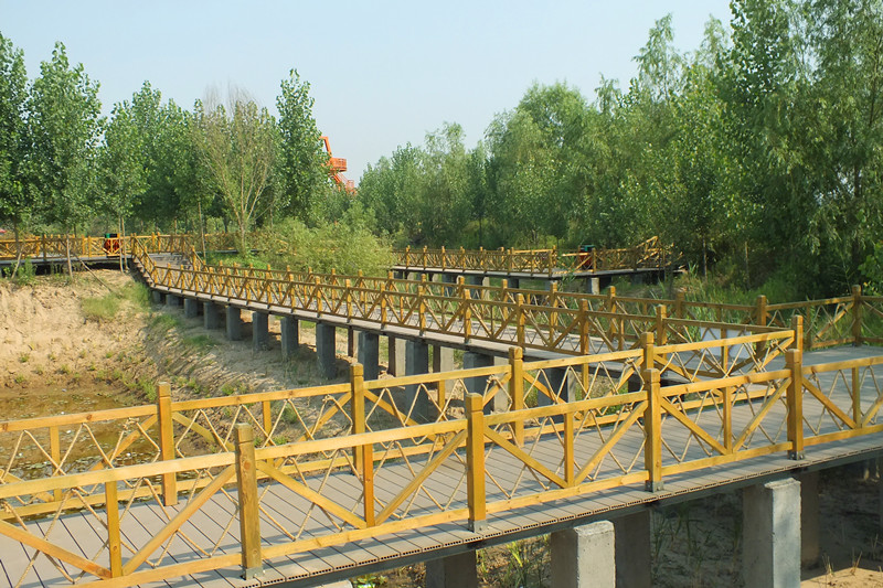 鄭州黃河國家濕地公園示範園