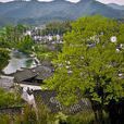 玉坑口村 玉坑口村