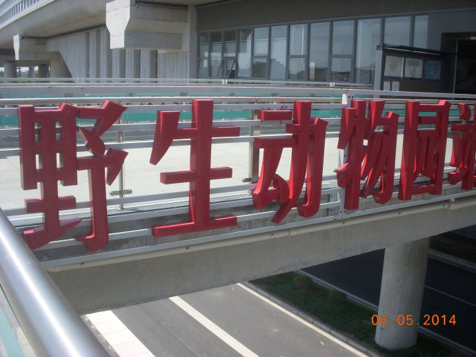 野生動物園站(上海軌道交通16號線野生動物園站)