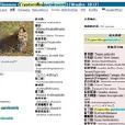 小嘴穴 小嘴穴