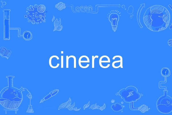 cinerea cinerea