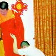 華藏宗門 華藏宗門