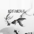 超機械洗禮 超機械洗禮