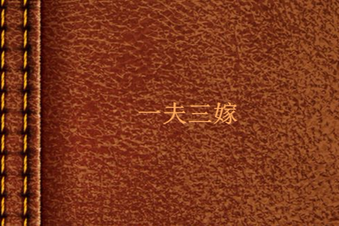 一夫三嫁(孔望塵創作的網路小說) 一夫三嫁(孔望塵創作的網路小說)
