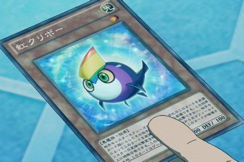 虹庫里波 虹庫里波