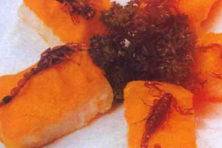 金蠍鱈魚 金蠍鱈魚