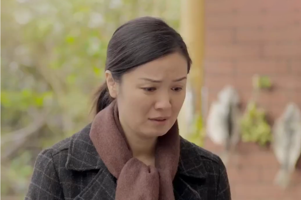李茹(現代生活劇《繼父回家》中的角色) 李茹(現代生活劇《繼父回家》中的角色)