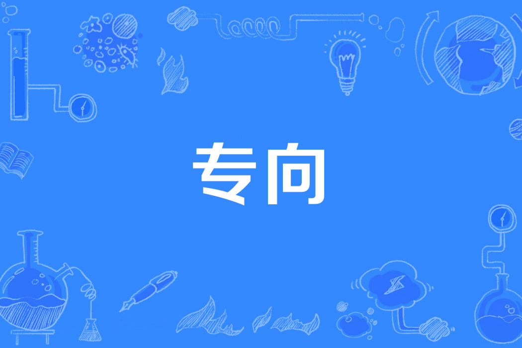專向 專向