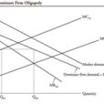 Dominant firm model