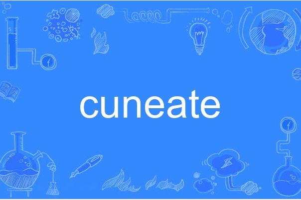 cuneate cuneate