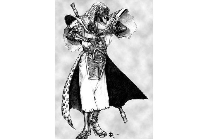 法師(遊戲《暗黑破壞神》中的職業) 法師(遊戲《暗黑破壞神》中的職業)